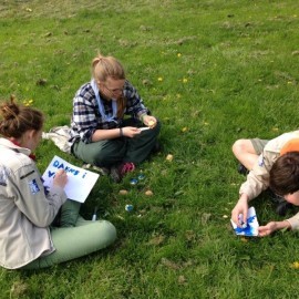 Daens - Scouts en Gidsen Zaventem 